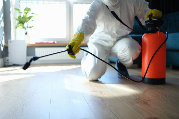 Trusted Trauma Scene Cleanup service in Port Hueneme, CA - Four Month Blood Cleanse